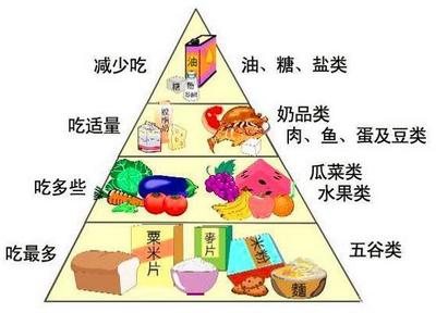 “完美金字塔食物” 滋養身心的美好回憶